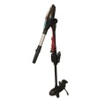 Silnik-elektryczny-Haswing-Protruar-3.0G-24V.jpg
