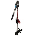Silnik-elektryczny-Haswing-Protruar-4.0G.jpg