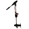 Silnik-elektryczny-Haswing-Protruar-4.0G-2.jpg