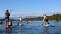 12515921-003__9MZq.webp