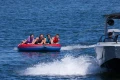 2026_O_Brien_X-Scream_Action-9412.webp