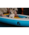 03-pies-na-desce-sup-bass-trinity-13-8-zblizenie.webp