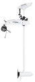 Silnik elektryczny dziobowy Watersnake Geo-Spot GPS 12V 65 lbs - widok pionowy