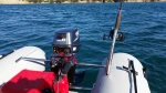 Ponton Takacat 300 LX - Pontony - Obraz nr9
